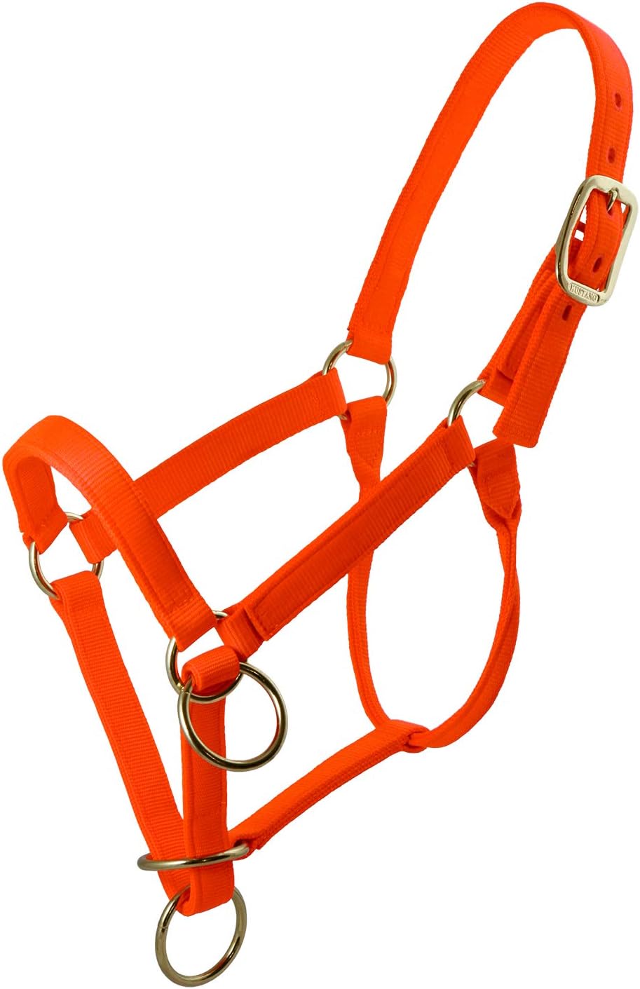 TrailMax Packer's Halter, Intended for Horse and Mule Packing, Featuring Triple -Thick Nylon Webbing and Heavy Duty Hardware, High-Vis Hunter's Orange, Regular Horse