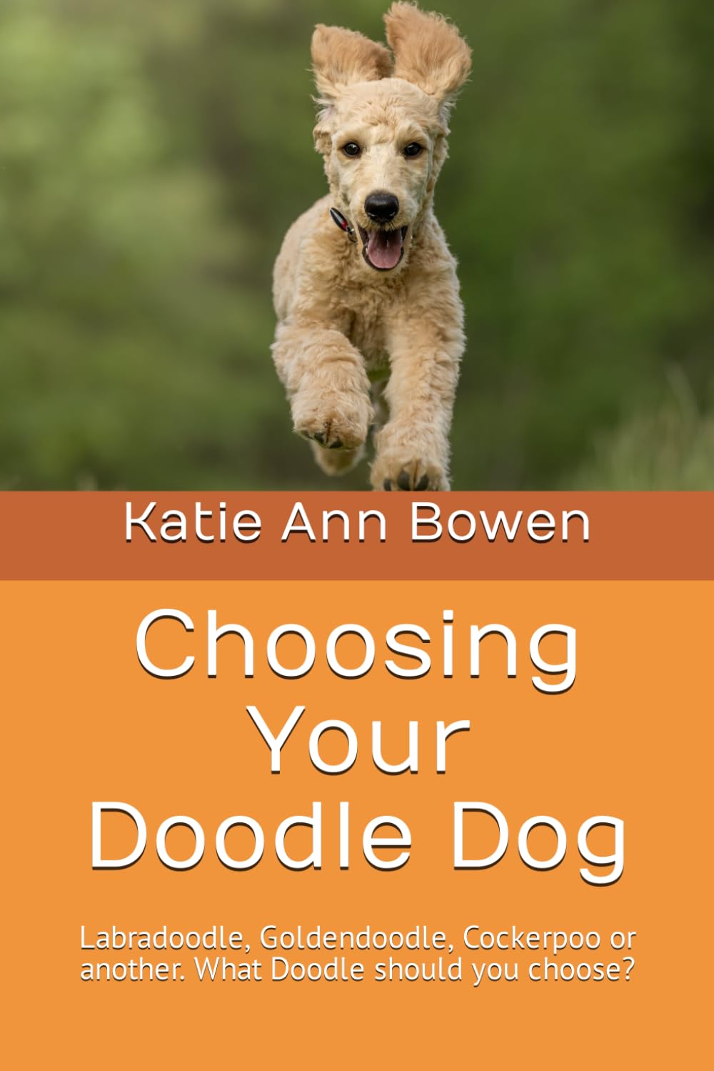 Choosing Your Doodle Dog: Labradoodle, Goldendoodle, Cockerpoo or another. What Doodle should you choose?