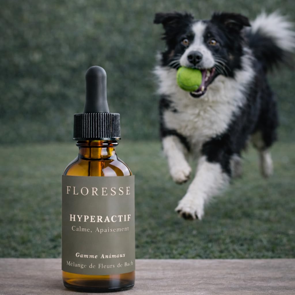 Conseil Fleur de Bach® – Fleurs de Bach Animaux Hyperactifs 30ml +1 OFFERT – Cure complète – Apaisement, calme, canalisation – Élixir floral traditionnel – Lot 2 flacons - Élixir floral traditionnel