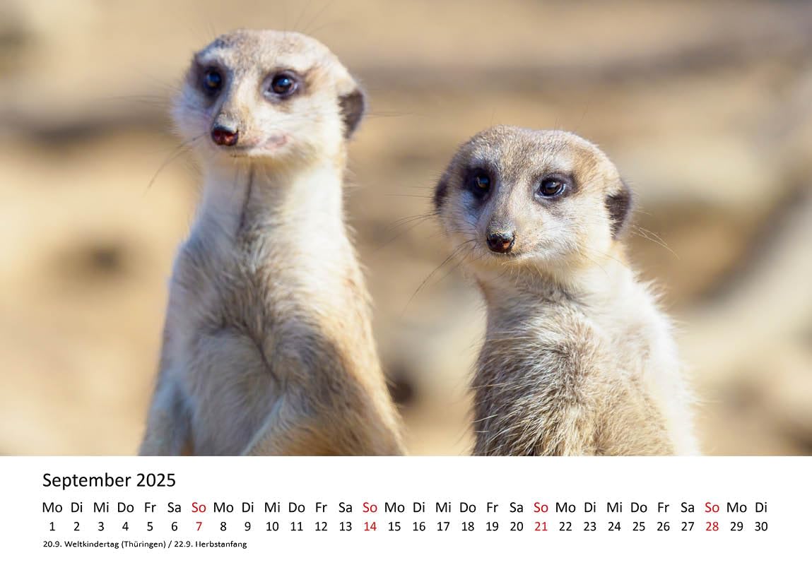Calendario Da Parete 2023, Formato DIN A3, Calendario A Serpente