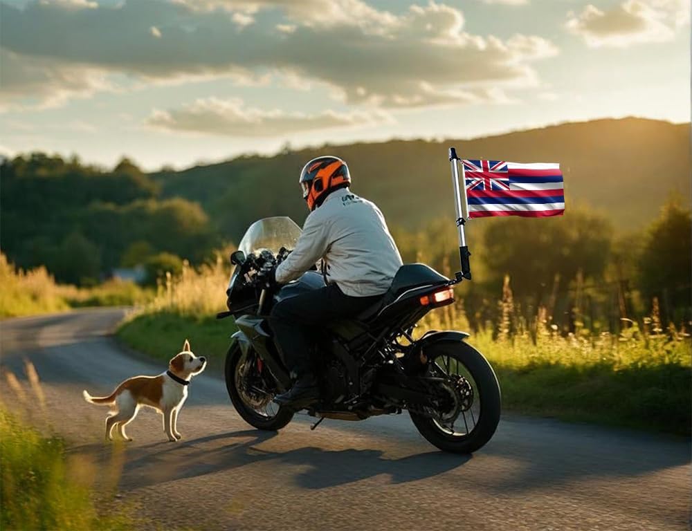Double Sided Hawaii State Boat Flag 12x18 Inches for Bike Motorcycle Truck Small HI Nautical Flag 220D Heavy Duty Printed Nylon with 2 Brass Grommets image 4