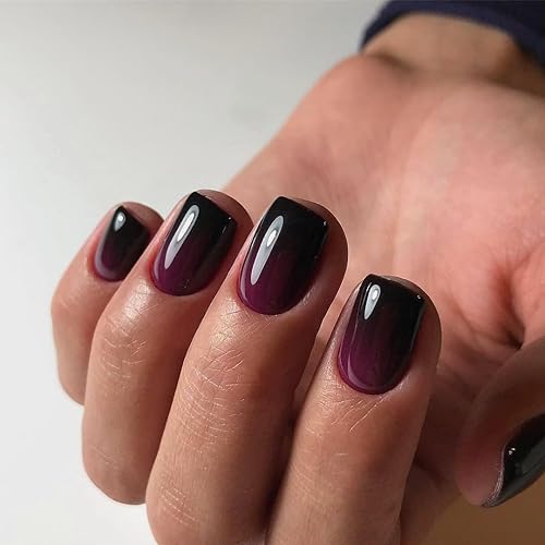 KQueenest Ombre French Press on Nails Short Square, Dark Purple