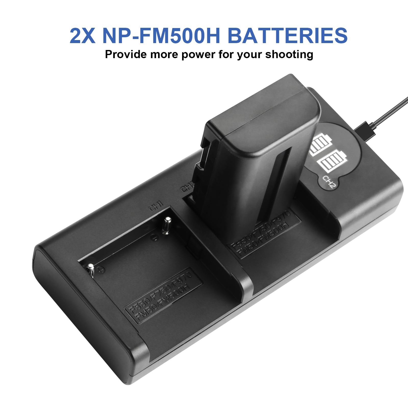 DSTE Ricambio Batteria Compatibile per NP-FM500H A57 A58 A65 A77 A100 A200 A200K A200W A300 A300K A300X A350 A350H A350K A350X A450 A500 A550 A560 A580 A700 A850 A900 A900 ILCA-77M2 SLT-A99