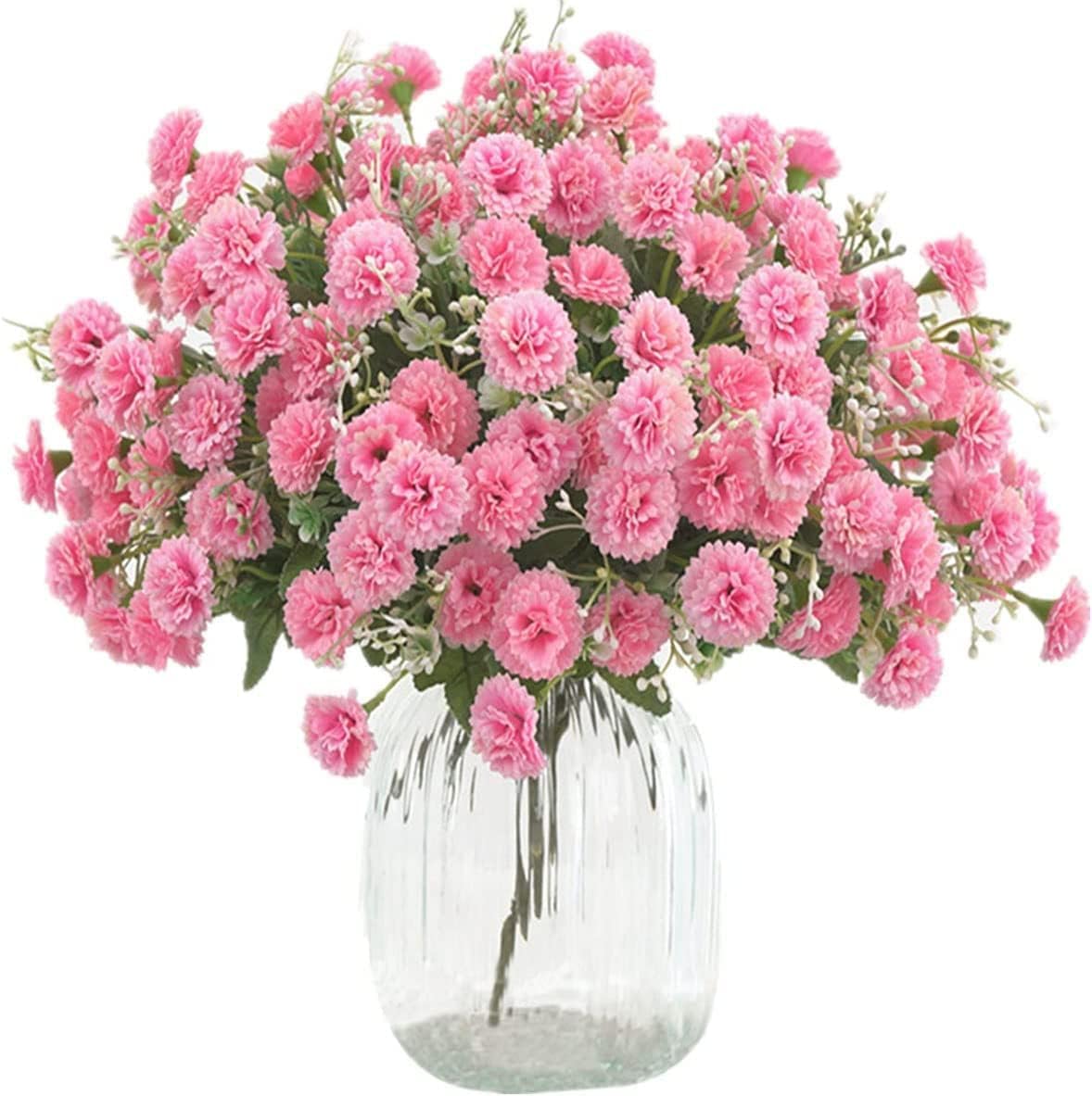TBUY ROSE Small Carnation Pack