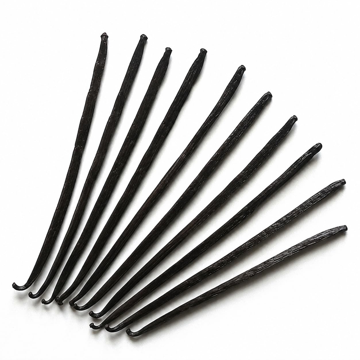 Vanilla Campaign® Premium Vanille aus Mexiko, Ganze echte Vanilleschoten, naturbelassen, vegan, fairtrade (10 Stück, 18-20cm)