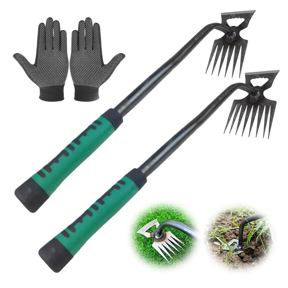 Anyingkai 2 Pezzi Sarchiatore Manuale con Manico,Earchiatore per Erbacce Professionale,Attrezzi per Diserbo,Estirpatore Erbacce orto,Diserbatrice Manuale,Estirpatore Erbacce Manuale (2 Grandi)
