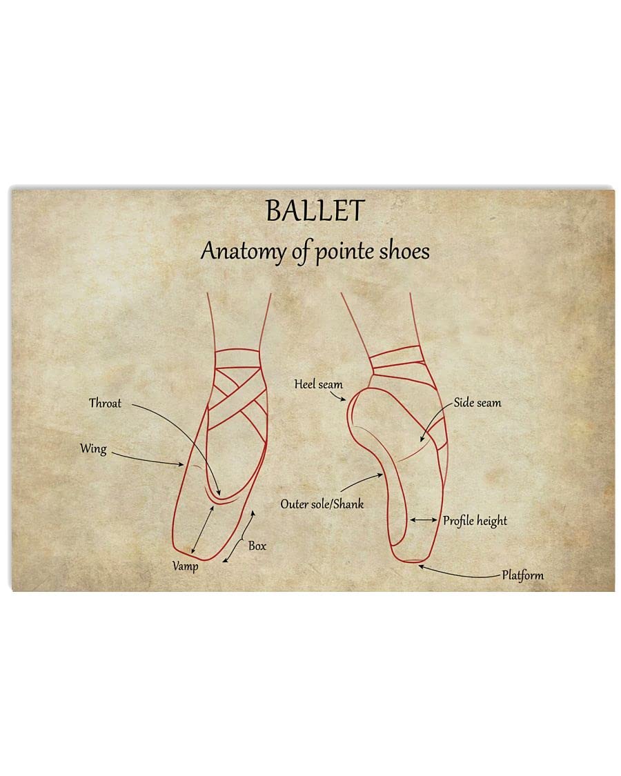 peiyeety Ballet Pointe Shoe Anatomy Tin Sign, Ballet Studio Home Wall Decor, 8x12Inch