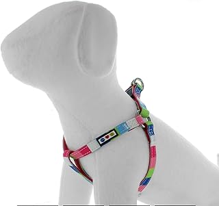 Pawtitas Multicolor Step in Dog Harness or Vest Harness Training of Your Puppy Harness Extra Small Harness Pink/Blue/Teal/Green