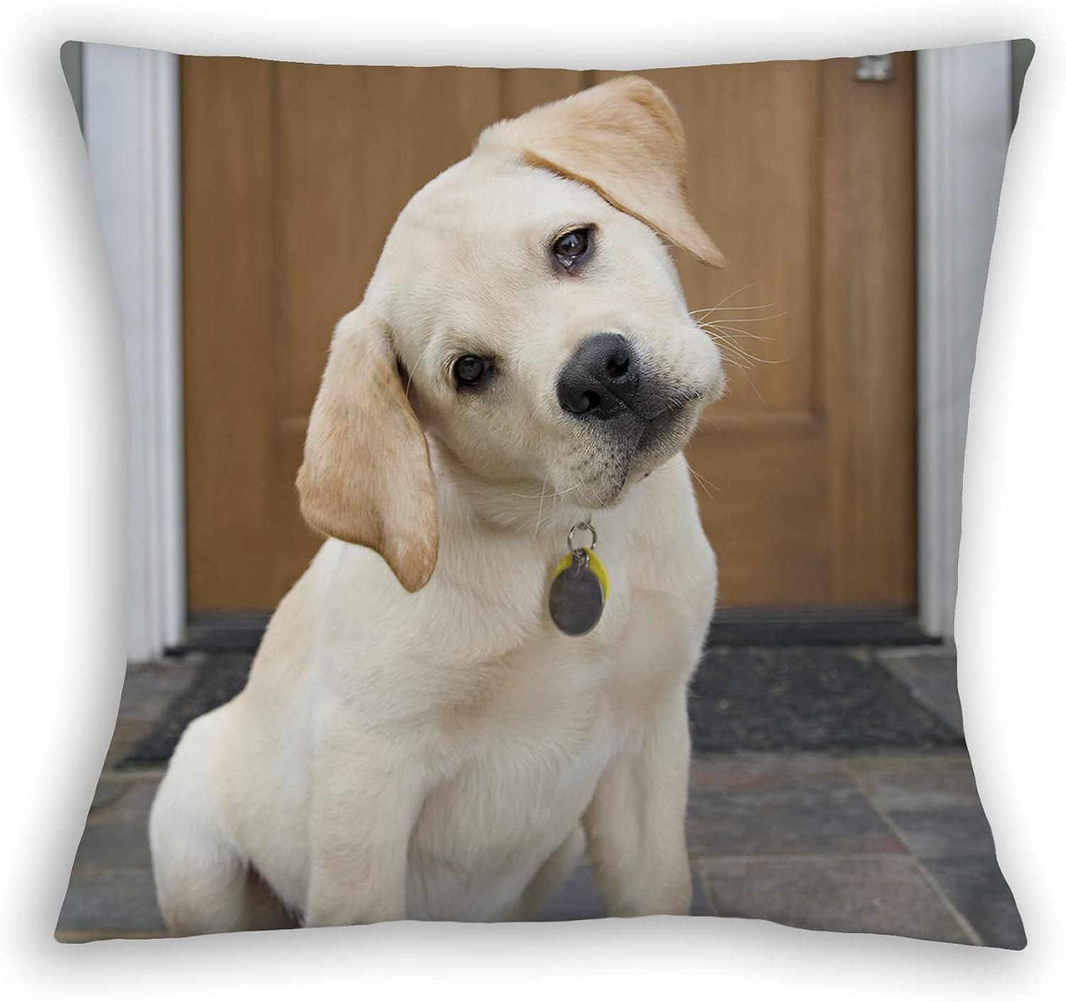 Personalization Universe Pet Photo Memories Personalized 14" Throw Pillow