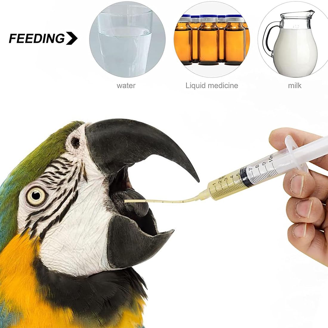 WUSJCOF 6 Pezzi Strumento per Alimentazione Manuale, Alimentatore per Pappagalli e Pulli, Tubo per Veloce, Siringhe per Uccelli Domestici Giovani,Contiene 1 tubo da iniezione da 10 ml