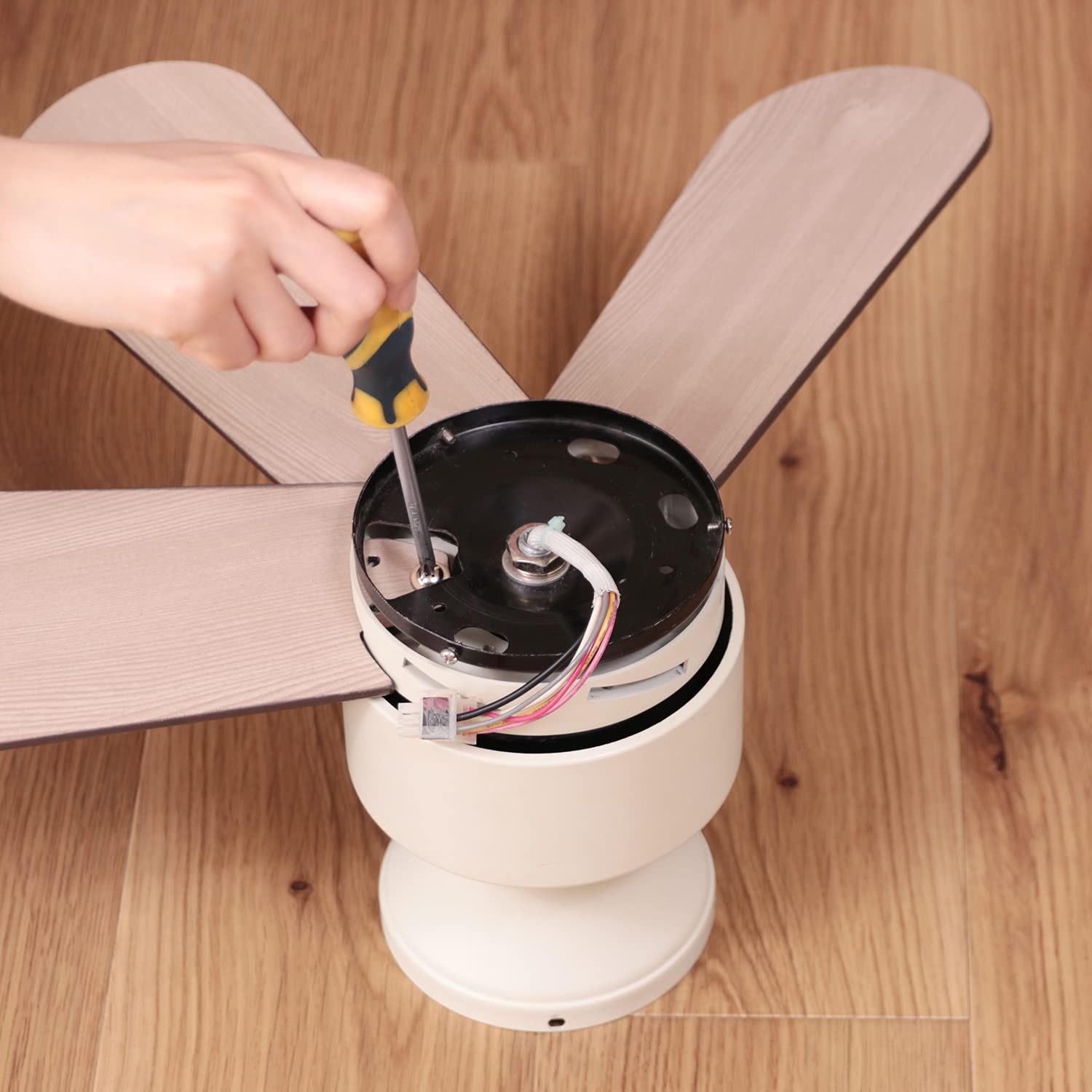 Amazon.co.jp : JAVALO ELF (ジャバロエルフ) Nordic Collection