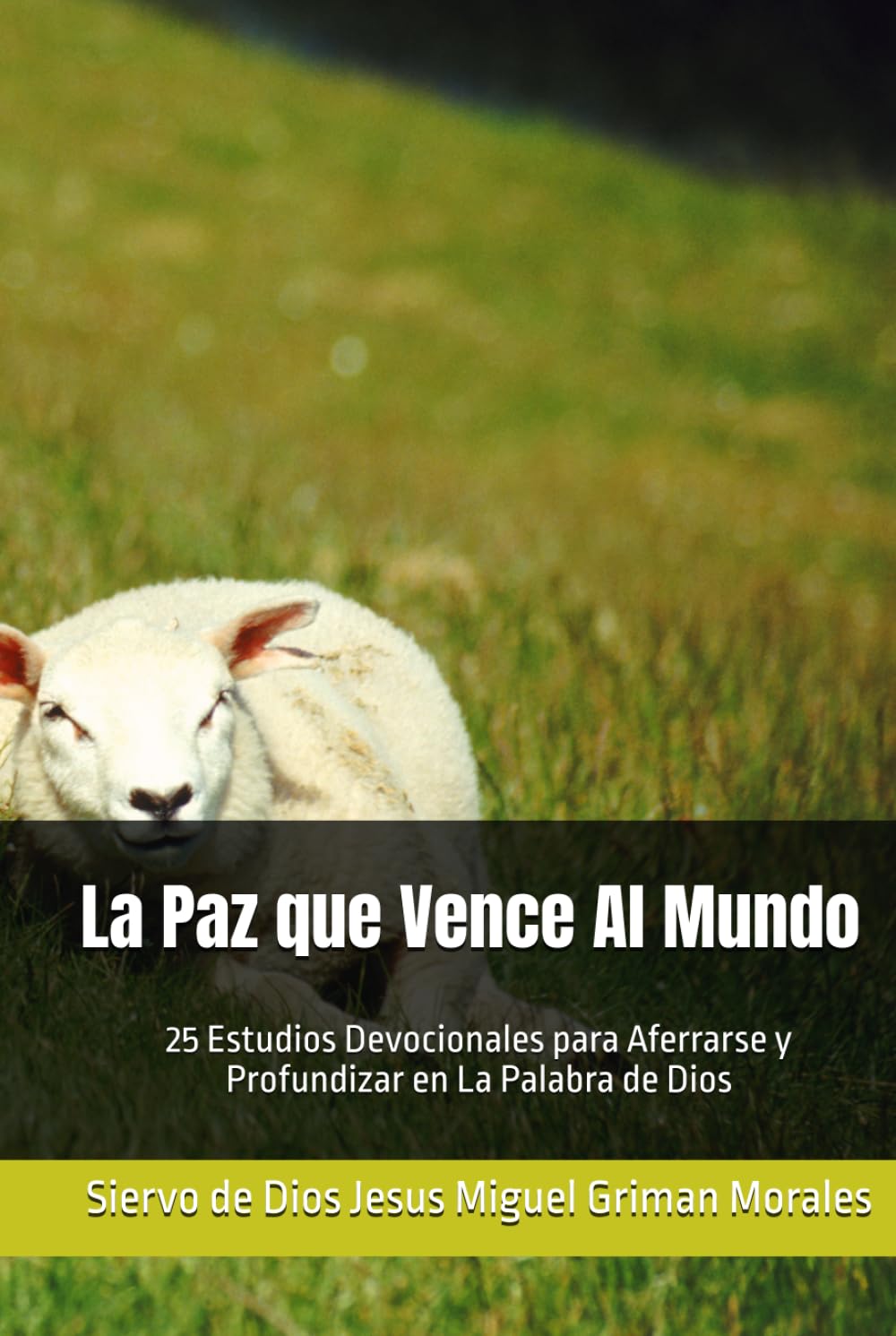La Paz que Vence Al Mundo: 25 Estudios Devocionales para Aferrarse y Profundizar en La Palabra de Dios