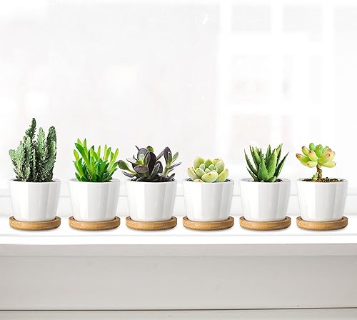 Miniatura 5 de Tosnail Paquete de 12 macetas pequeñas para suculentas de 2.5 pulgadas con 12 bandejas de bambú, mini macetas redondas de cerámica blanca, pequeñas