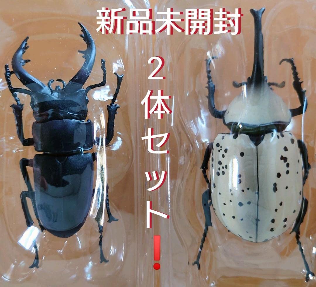 緊急！グラントシロカブト2ペア、ノコギリクワガタ（水牛型）20匹以上