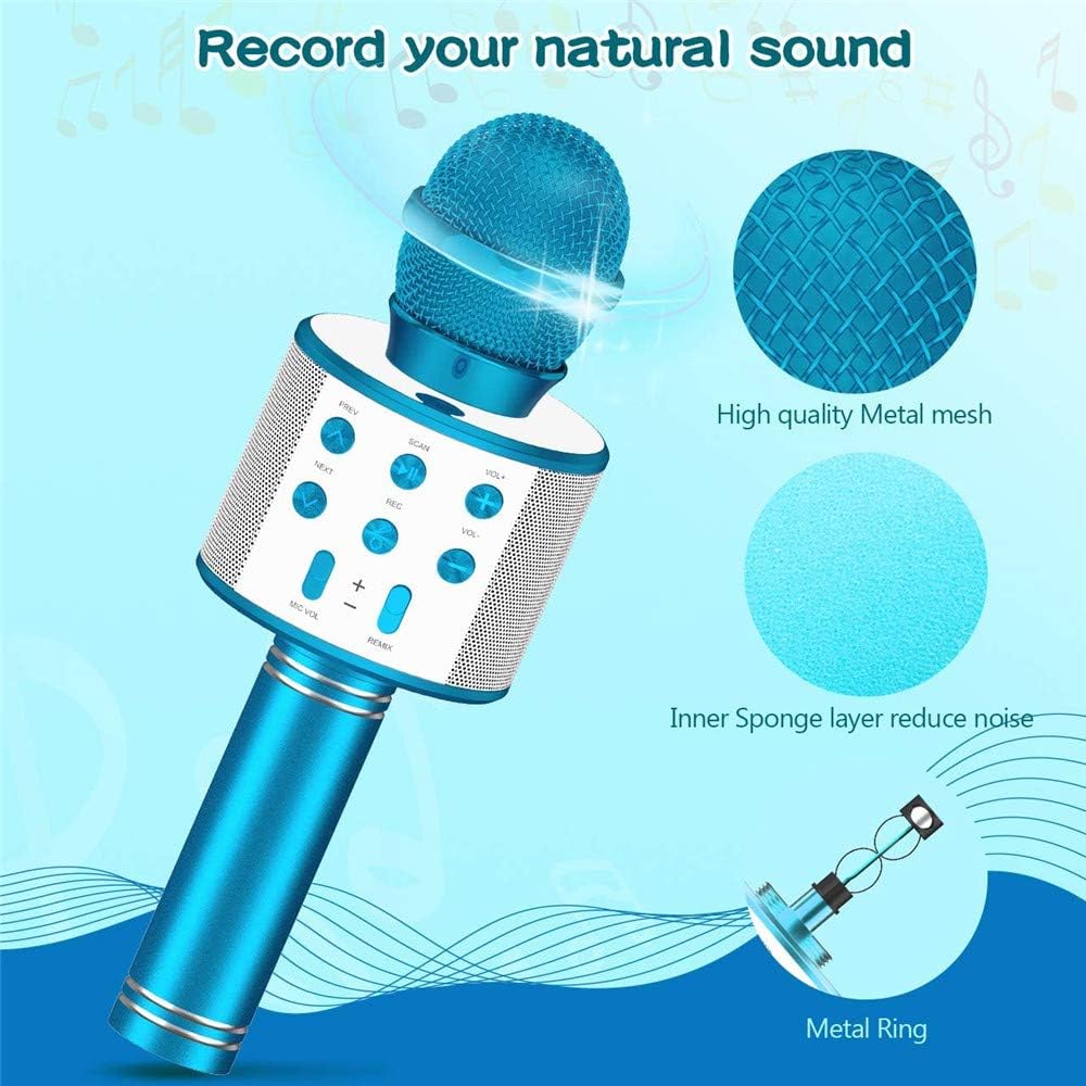 reverb microphone toy