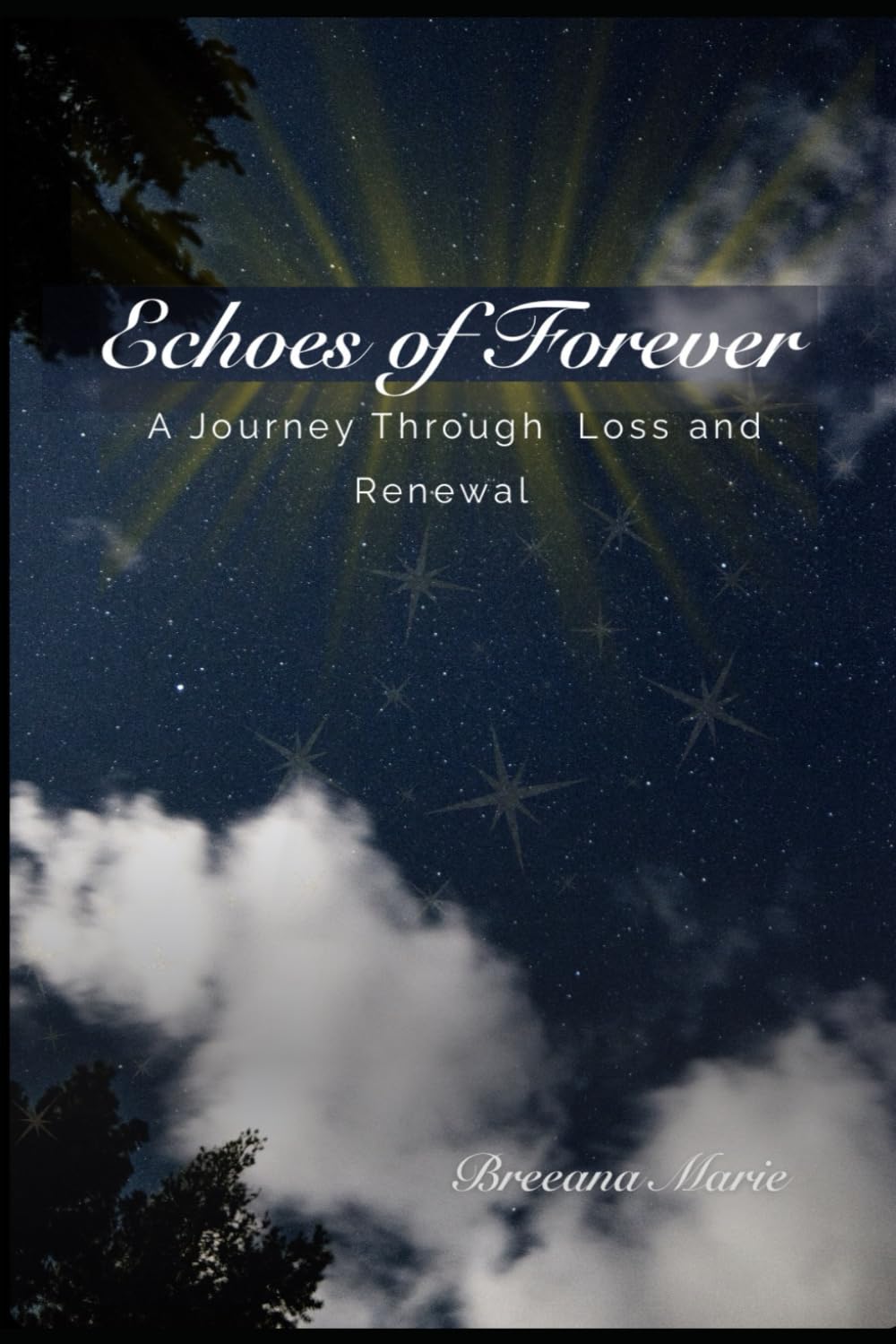 Echoes of Forever: A Journey Through Loss and Renewal
