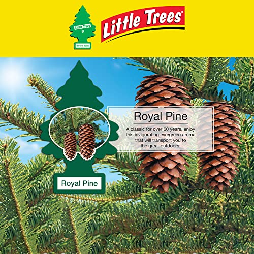 Image of Little Trees Hanging Car Air Freshener (Royal Pine)