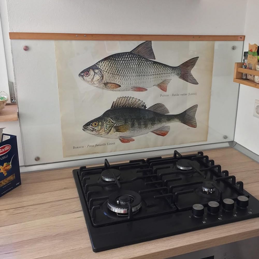 Mucola Spritzschutz Herd 100x60 cm Küchenrückwand Milchglas Fliesenspiegel inkl. Schrauben Wandschutz 6 mm ESG Sicherheitsglas| schwer entflammbar und wasserbeständig