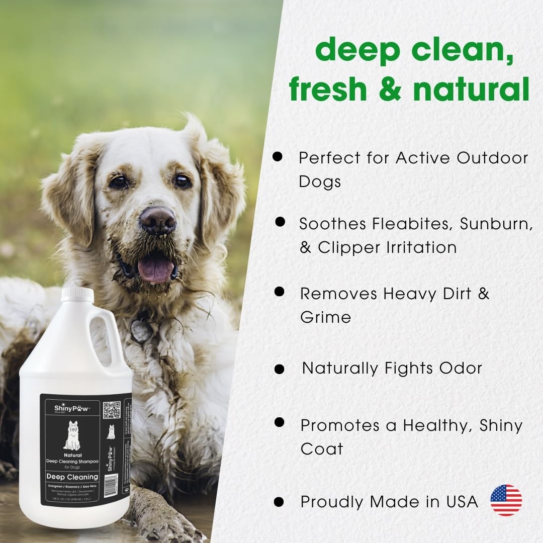 Shiny Paw Natural Deep Cleaning Organic Dog Shampoo 128 oz | Dog Itching Skin Relief with Evergreen, Aloe & Rosemary | Natural Dog Shampoo for Smelly Dogs | Made in The USA