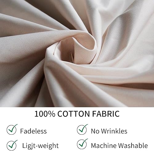 Miniatura 5 de Mocsicka Telón de fondo de calabaza para baby shower, otoño, bohemio, hierba de pampa, calabaza, otoño, baby shower, decoración de fiesta, fondo de