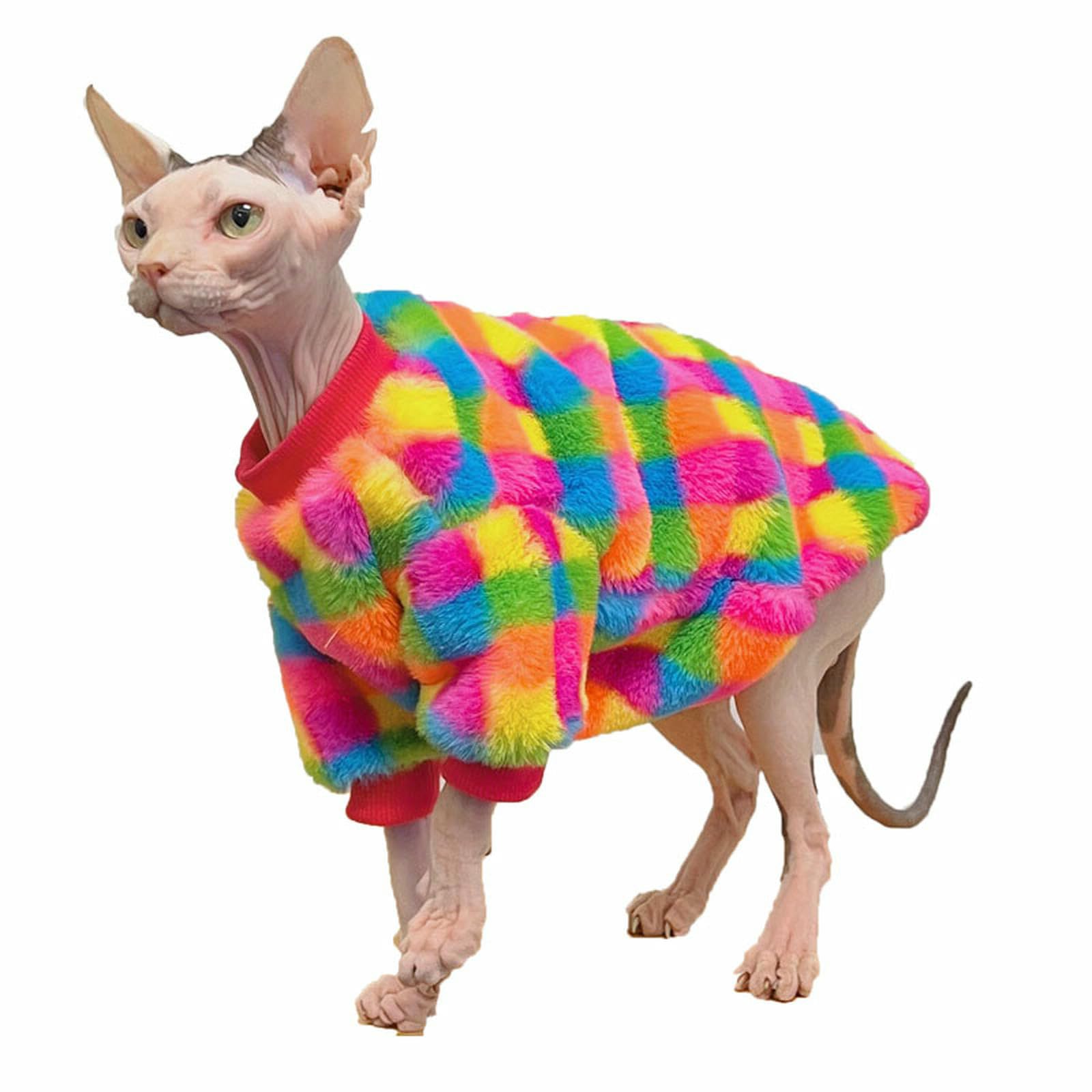 Pull chat Sphynx vêtement hiver Devon Rex plaid chaud à manche