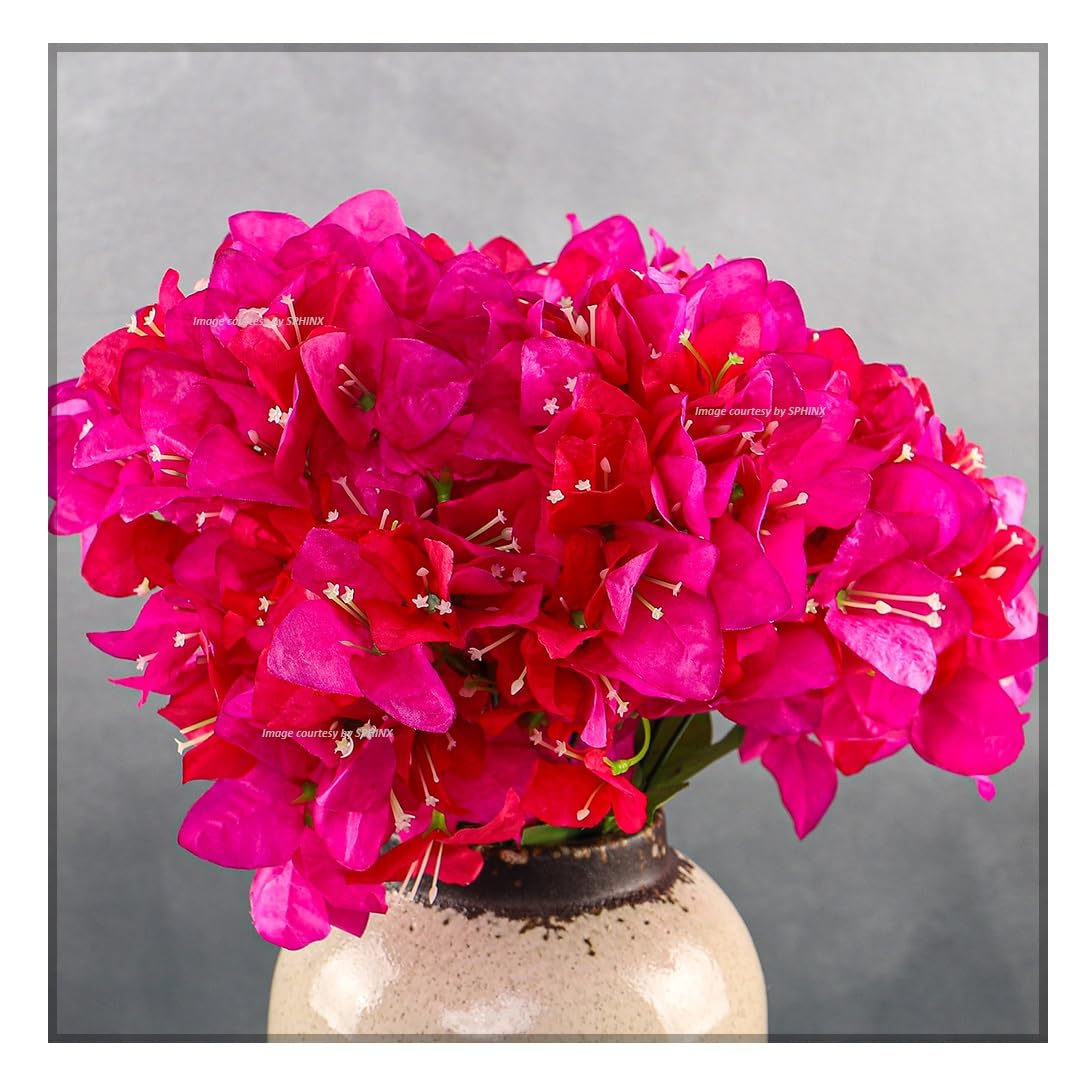 SPHINX Artificial Bougainvillea 5 Heads Bunch Without Vase for Home Decor, Centerpieces, Christmas Decorations, Welcome Reception, Dinner Table decor Approx Height 50 cms- (1 Piece, Pink)