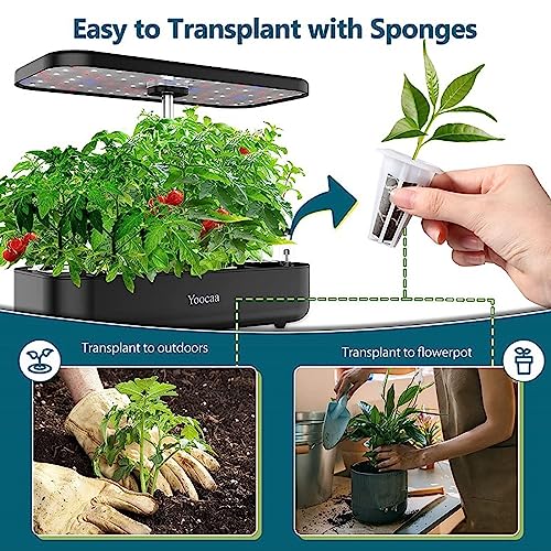 30 Conjunto de Sementes de Plantas Starter Pods Kit Ferramentas de Mudas Germinação Hidroponia Subst