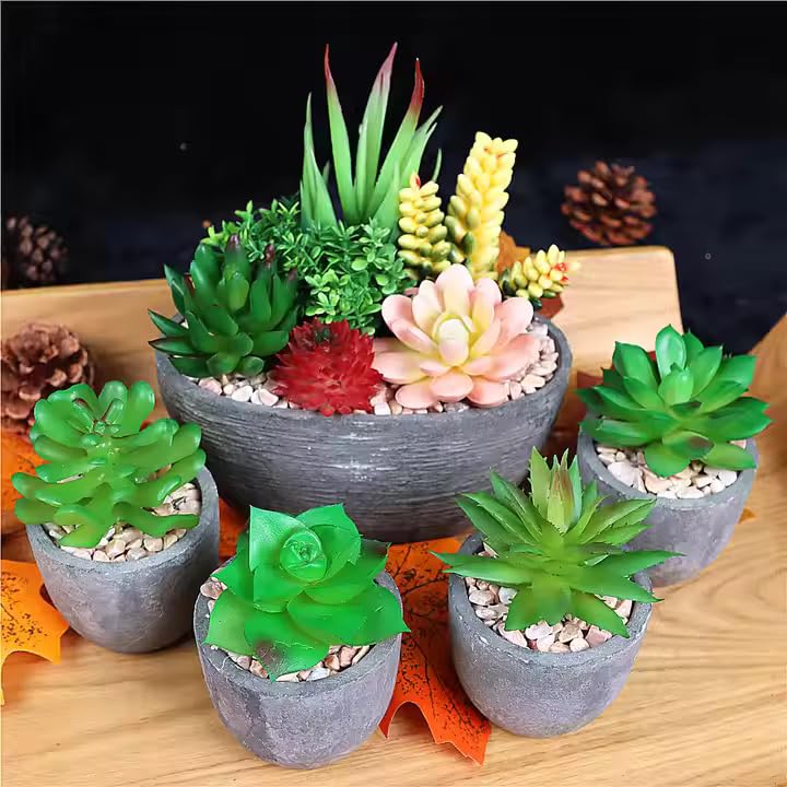 Image of Artificial Plants Set of 5 Artificial Succulents with Pots Colourful and Decorative Fake Succulents with Stones Ideal for Home Office and Outdoor Bathroom Bedroom Decore | Pack of 1
