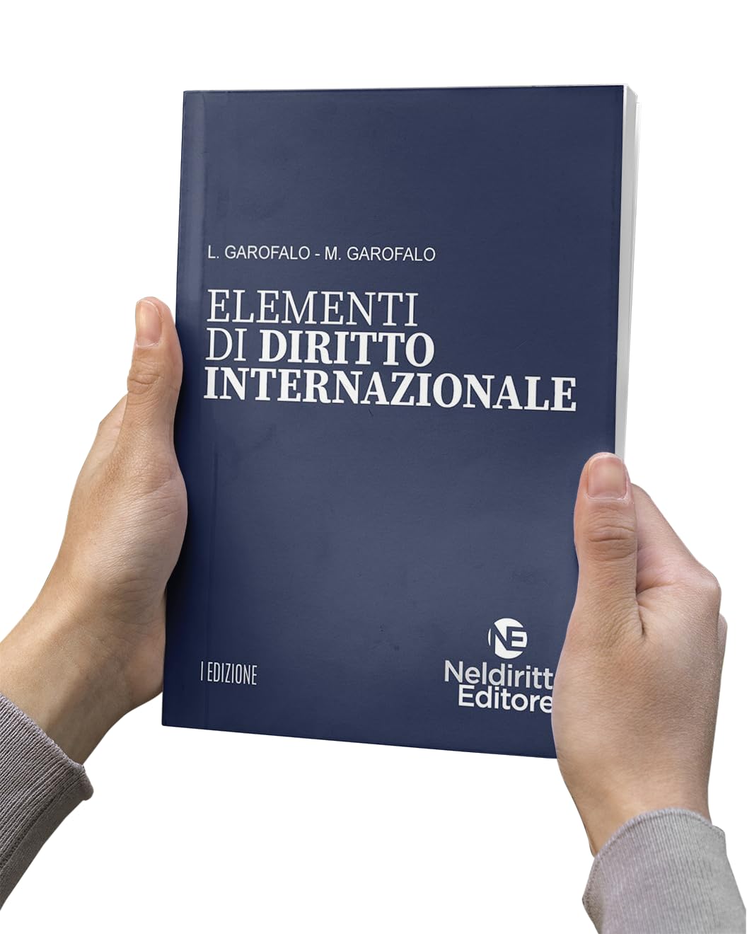 Elementi di diritto internazionale