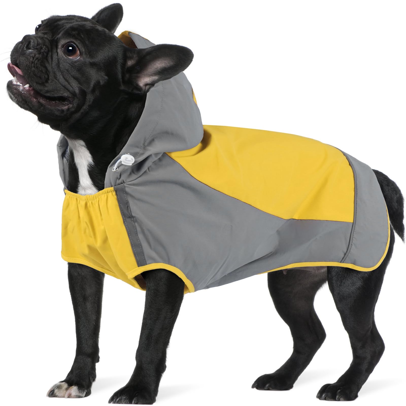 Manteau de pluie pour chien léger et ajustable pour vos promenades automnales en forêt