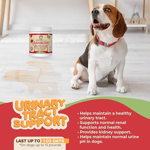 Miniatura 2 de Suplemento de arándano para perros, tratamiento natural de la infección urinaria y apoyo renal para perros. Suplemento para perros en polvo Igual