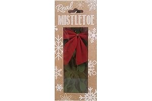 Enjoy Christmas Traditions with Preserved Mistletoe