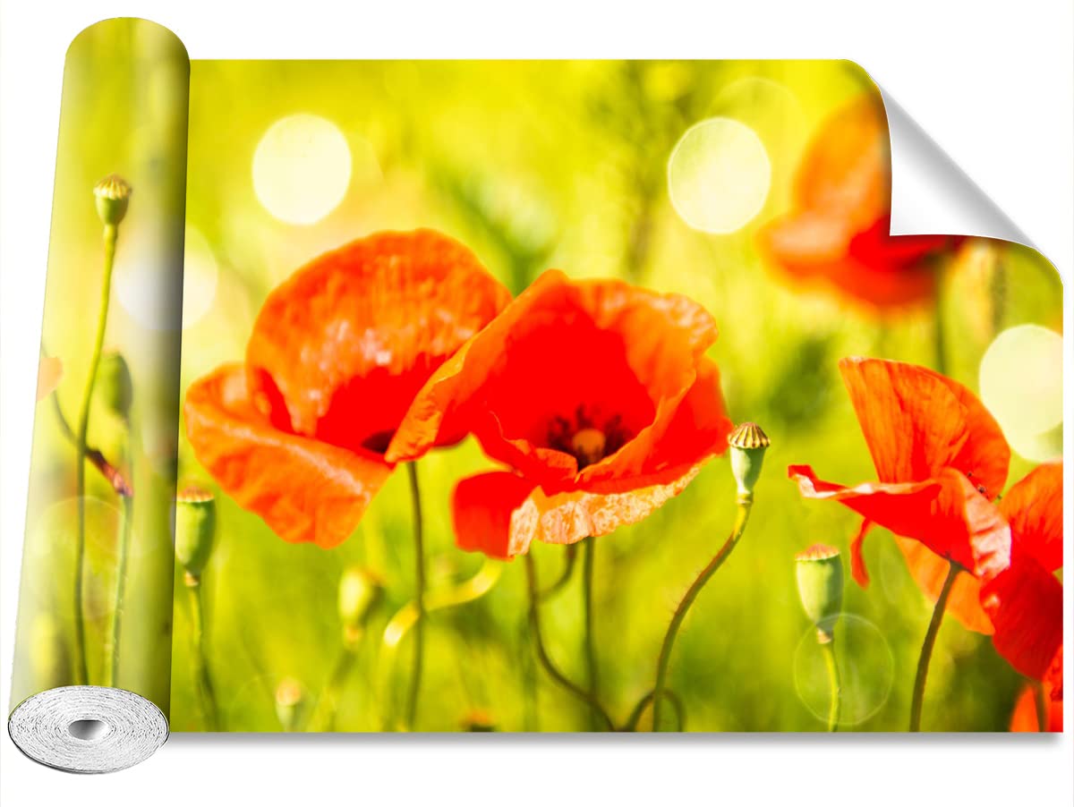 Papier peint coquelicots Tulup créez un salon nature