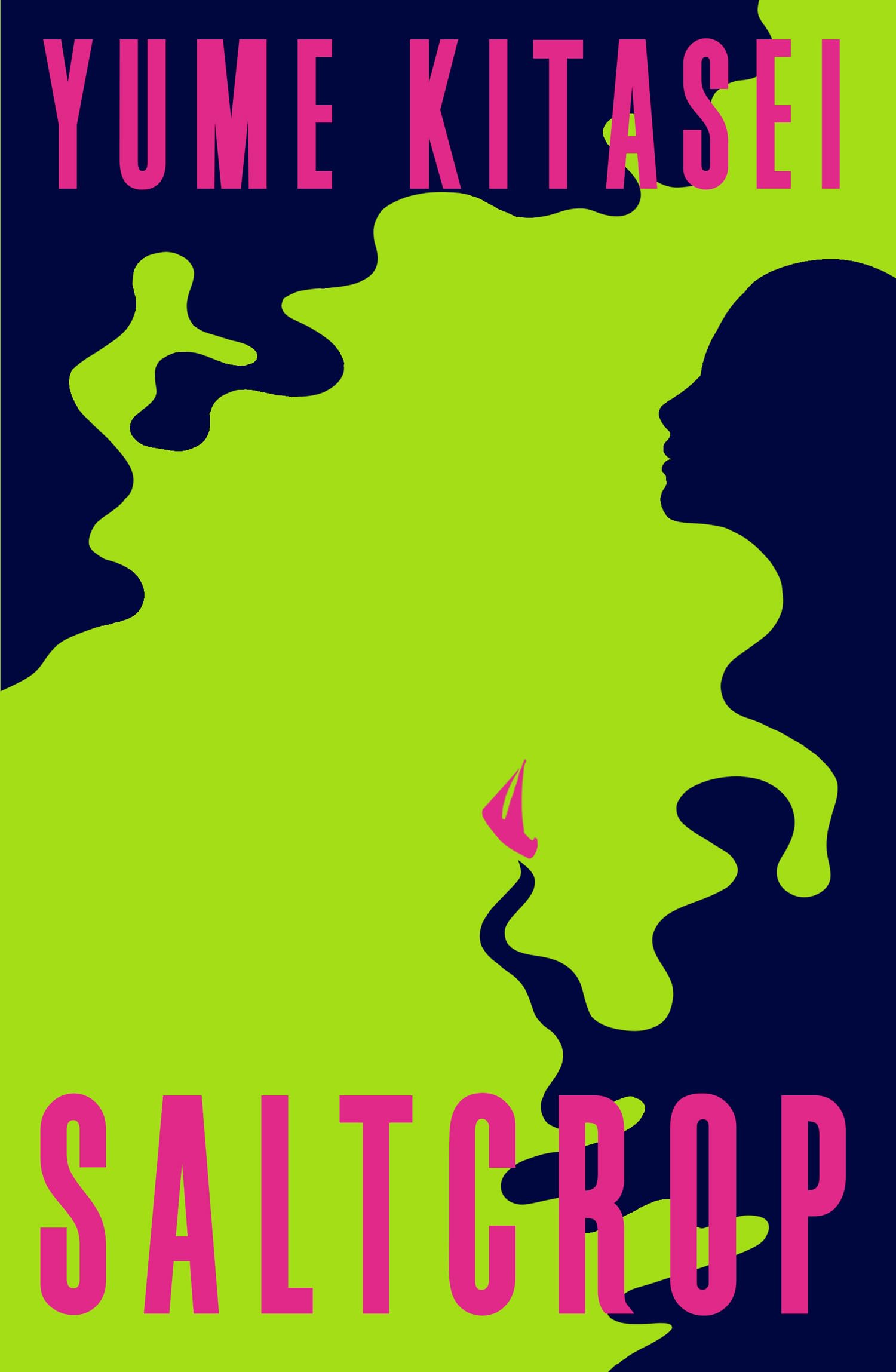 Saltcrop: A beautiful and gripping new tale of sisterhood in a dying world