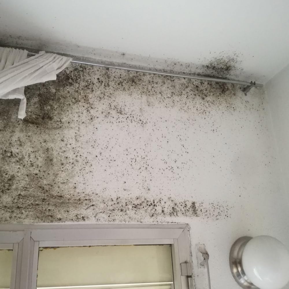 Sopgal Pintura Térmica Anticondensación Interior 15L Blanco - Aislante y Eficiente: Rompe puente térmico, evita condensaciones, pared fría y pérdida de calor