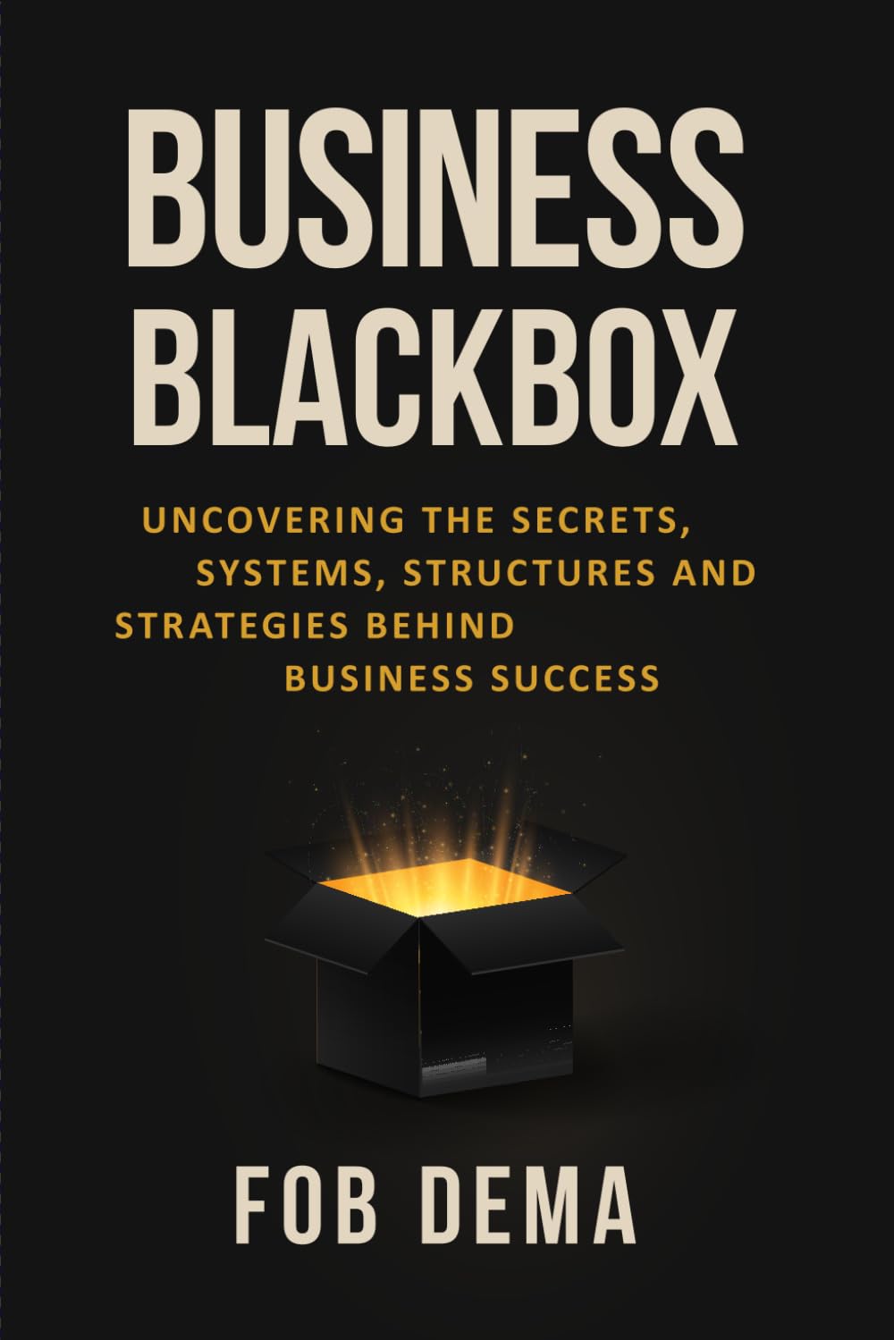Business Blackbox: Uncovering The Secrets, Systems, Structures and Strategies Behind Business Success