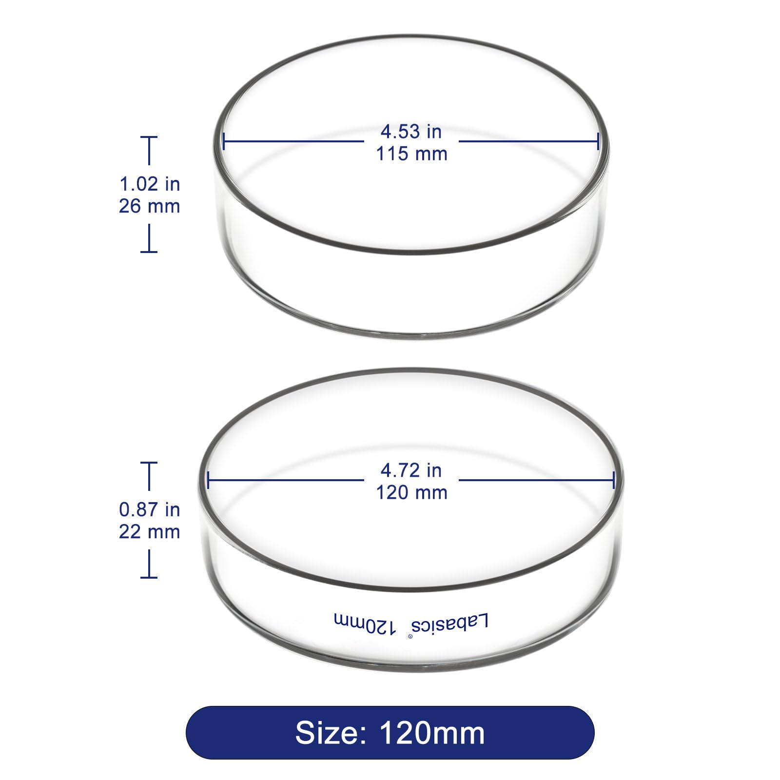 Labasics Piastra Petri con Coperchio, Vetro Borosilicato, Alta Trasparenza per Uso di Laboratorio, Ideale per Esperimenti Scientifici, Diametro 120 mm, 1 Pezzo