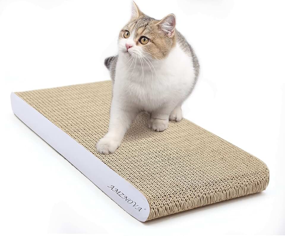 Cat Scratching Pads Amazon.co.uk