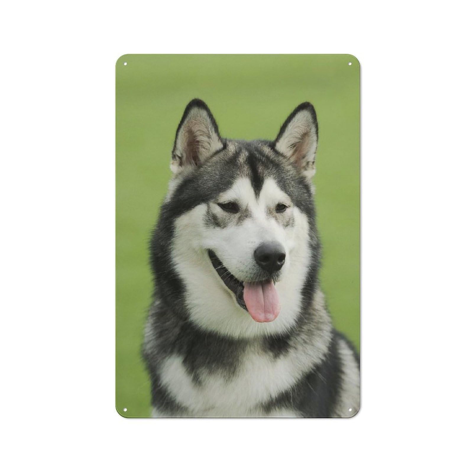 Junmoney Style-8 Vintage Tin Sign 30X20cm With Alaskan Malamute For Dining Room Or Kitchen, For Autumn Interiors With Vintage Character