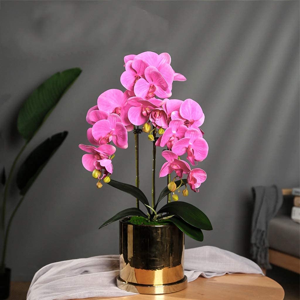 Plantes en pot pour salon et fleurs artificielles avec pot doré phalaenopsis