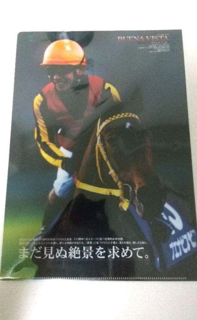 Amazon.co.jp: JRAブエナビスタ クリアファイル ヒーロー列伝 競馬
