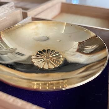 61lTqVl0ibL._AC_UF350,