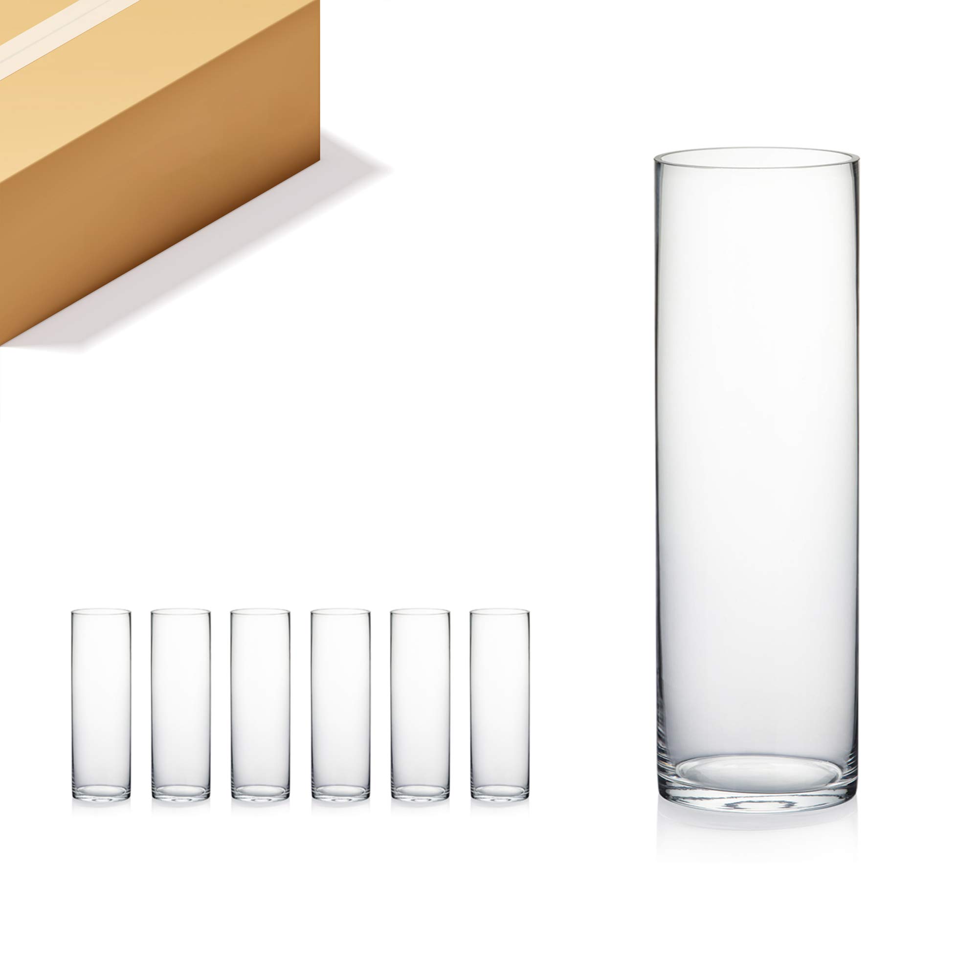 WGV Cylinder Vase Bulk, Diameter 5", Height 16", Clear Glass Floral Planter Container, Tall Centerpiece Arrangement for Wedding Party Event Home
