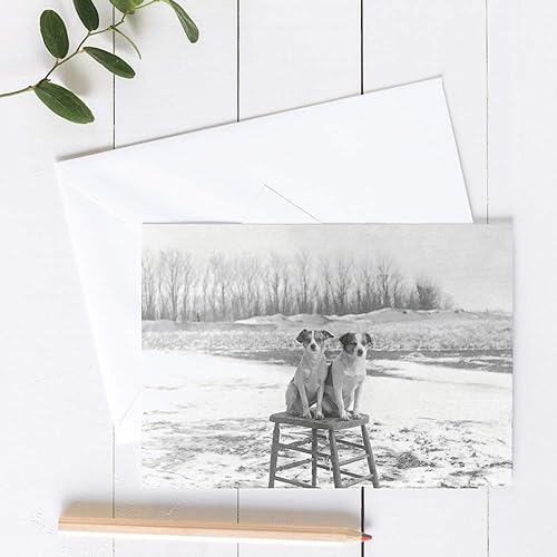 Miniatura 4 de Wright Home & Gift Tarjetas de felicitación de condolencia de cerezos en flor  Paquete de 3 + sobres (5 x 7)