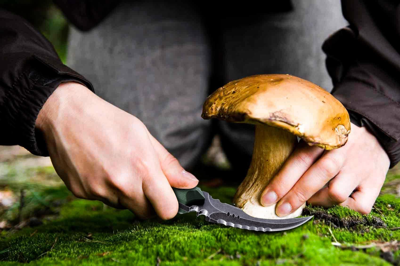 Survival Messer - Feststehende Klinge Bushcraft Messer Mit FRN G10 Griff Full Tang - Outdoor Messer Mit Kydexscheide - Scharfes D2 Stahl Camping Geschenk für Männer