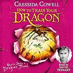 Cover of How to Train Your Dragon: How to Seize a Dragon's Jewel