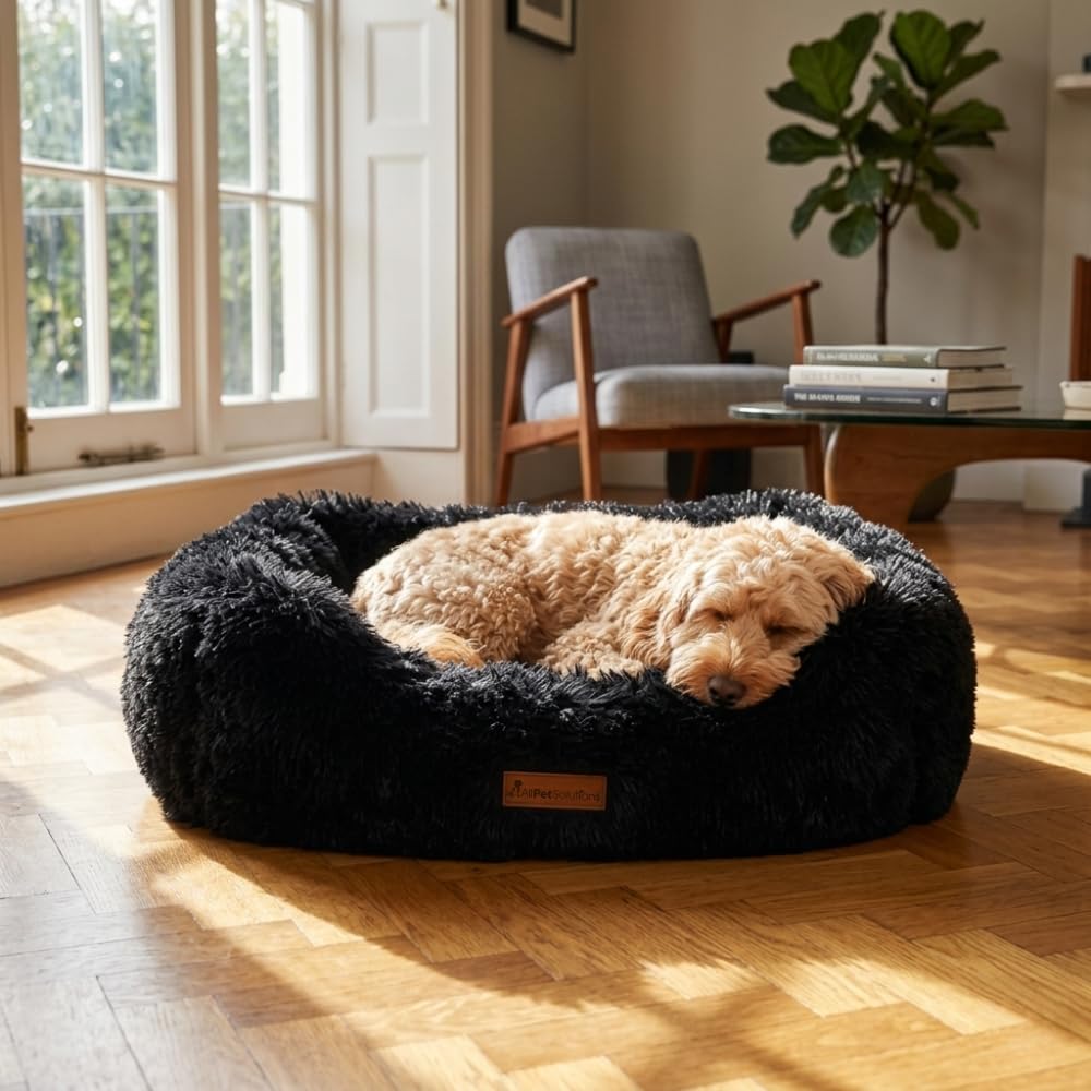 allpetsolutions Luxury Plush Dog Bed with Raised Sides & Non-Slip Base - Charcoal