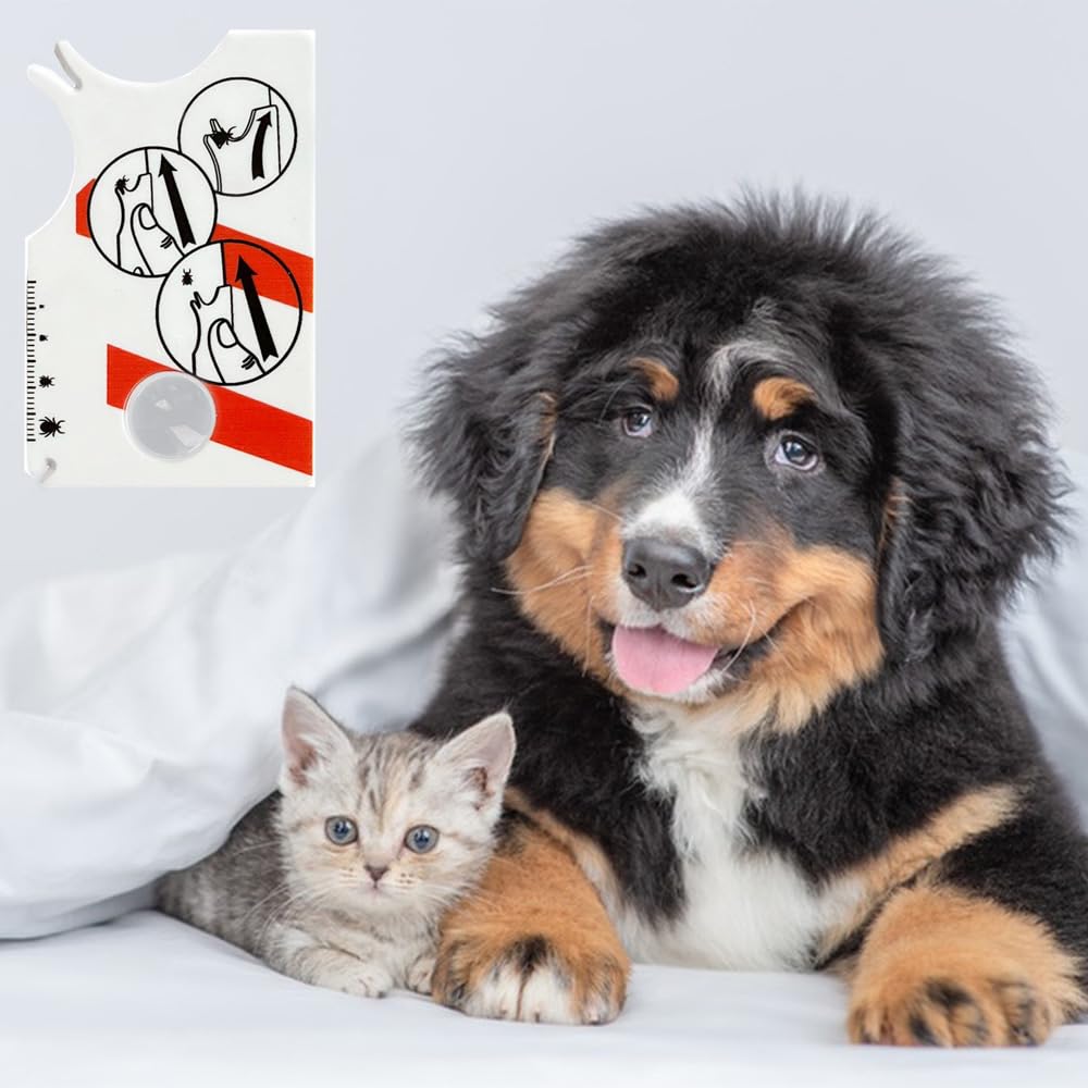 Carte Anti Tiques Avec Loupe Pour Chiens Et Chats, Permet Un Retrait