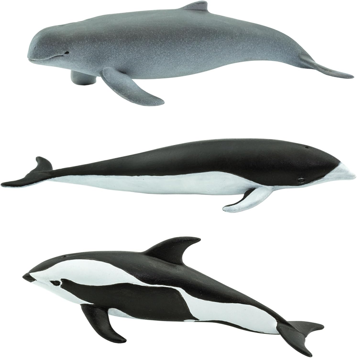 Safari Ltd. Dolphin TOOB - 10 Miniature Dolphin Figurines - Educational Toy Set for Boys, Girls and Kids Ages 3+ - Image 6