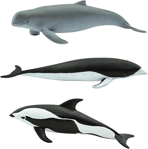 Miniatura 6 de Safari Ltd. Dolphin TOOB - 10 figuras de delfines en miniatura, juego de juguetes educativos para niños, niñas y niños a partir de 3 años